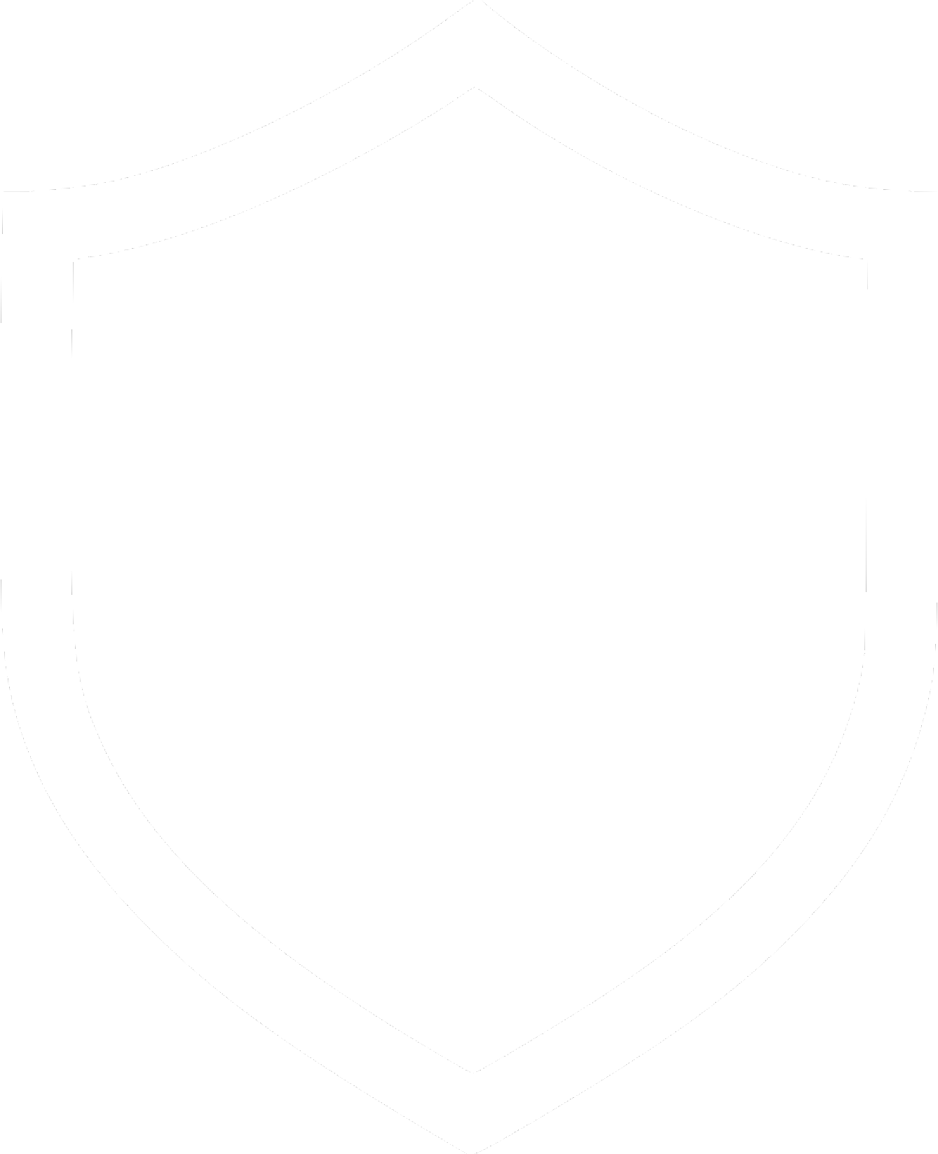 Rigoris Security